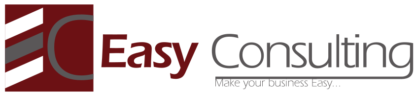 easyconsultingcm Logo